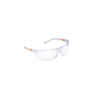 Zenon Z-Lyte  II Safety Glasses Clear Lens ProChoice 1700